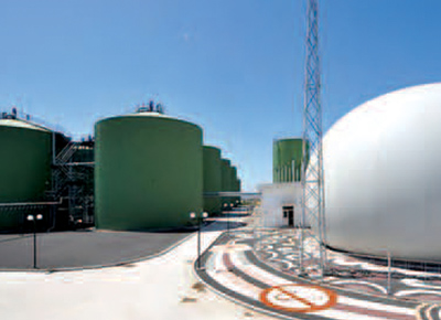 新能源行業(yè)(yè)：沼氣(垃圾填埋氣)發(fā)(fā)電